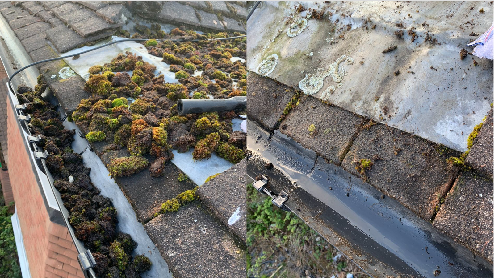 Gutter cleaning job on an Edmonton property
